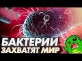 Как БАКТЕРИИ захватят мир — горизонтальный перенос генов