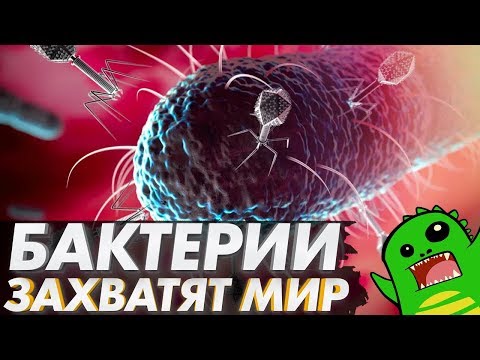 Видео: Что такое перенос генов у бактерий?