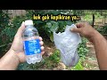 POPOK BEKAS JANGAN DI BUANG ‼️MASIH ADA MANFAATNYA⁉️