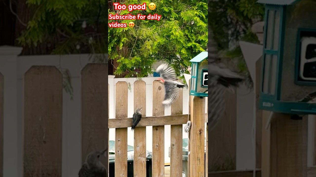 Slow motion is game changer for me 🤩 