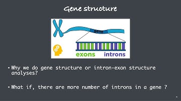 Gene structure analysis
