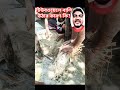 #plumber #automobile #pipeing #comedyvideos #foryou #funny #funnyshorts #electrical #video #sad #fb
