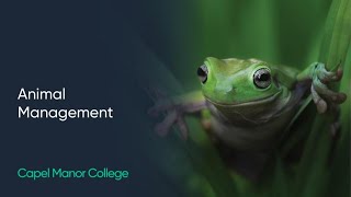Animal Management at Capel Manor College