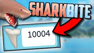 FASTEST Sharkteeth earn METHOD in Sharkbite! (For All Gamemodes!)