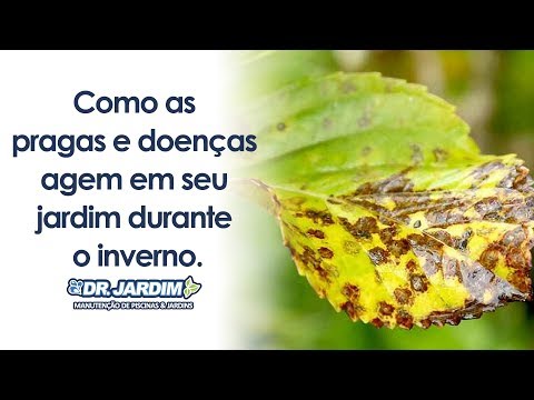 Vídeo: É Possível Controlar Pragas No Inverno?