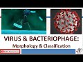Microbiology of VIRUS & BACTERIOPHAGE Part 1: Properties, Morphology, Symmetry, Classification