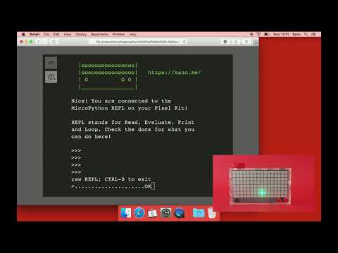 Kano Pixel Kit - MicroPython - Turtle's Random Walk