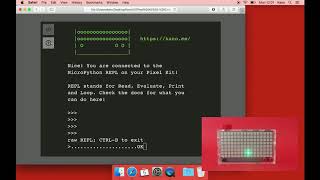 Kano Pixel Kit - MicroPython - Turtle's Random Walk