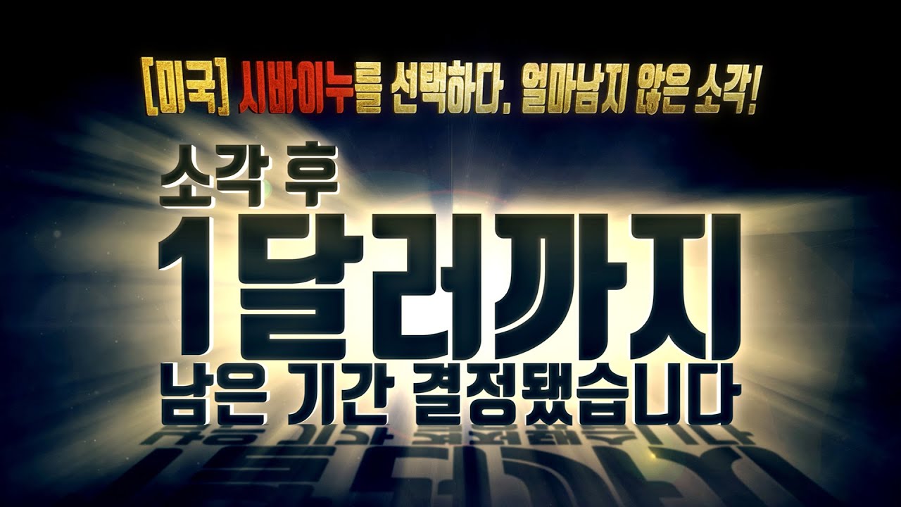 [미국]시바이누를 선택하다. 얼마남지 않은 소각! 소각 후 1달러까지 남은 기간 공개합니다.