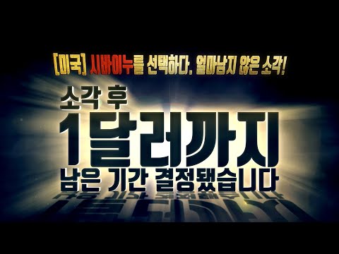 [미국]시바이누를 선택하다. 얼마남지 않은 소각! 소각 후 1달러까지 남은 기간 공개합니다.