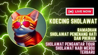 Download Lagu Koecing Sholawat Ramadhan Sholawat Penenang Hati dan Pikiran Sholawat Pengantar Tidur Sholawat Nabi MP3