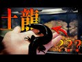 土に住む龍!? ほとんどが知らない大型トカゲを飼育する。