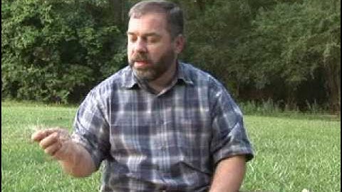 Making rope from bark