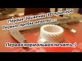 3Д  принтер, Первые движения , Первая нормальная Печать на 3D