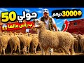 50 حولي ب3000 درهم فقط شكون يصدق هاد التمن