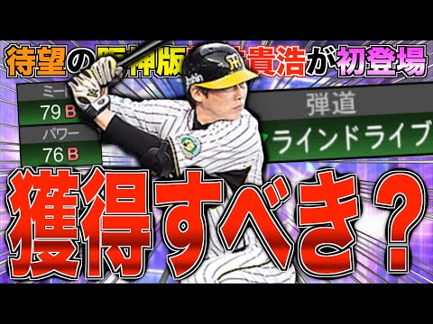 阪神 新井貴浩 実用スパイク 阪神 新井貴浩 実用スパイク 阪神