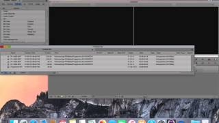 Import AAF Then Crash