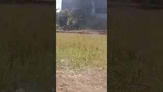 Orng Gila Dari Jam 6 Pagi Pagi Juga Masih Di Situ Terus Joba Lagi Panas 