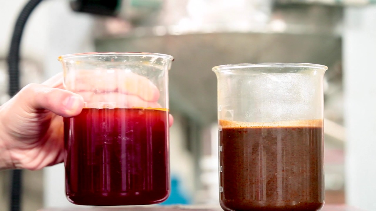 LRGS Full Video ITMA mp4