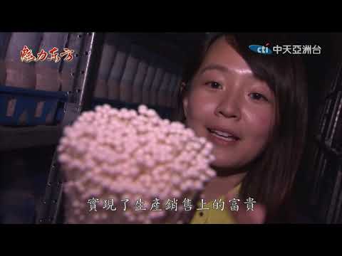 台灣-魅力東方-20190504 苦蕎美食在威寧　百變養身又吸睛