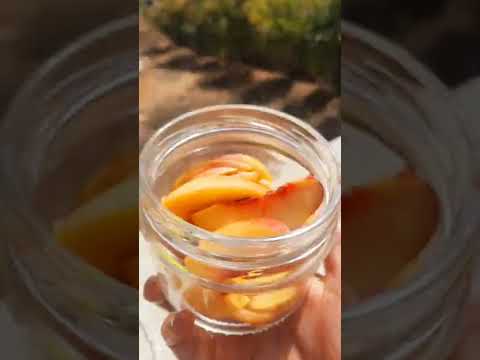 كومبوت الدراق 