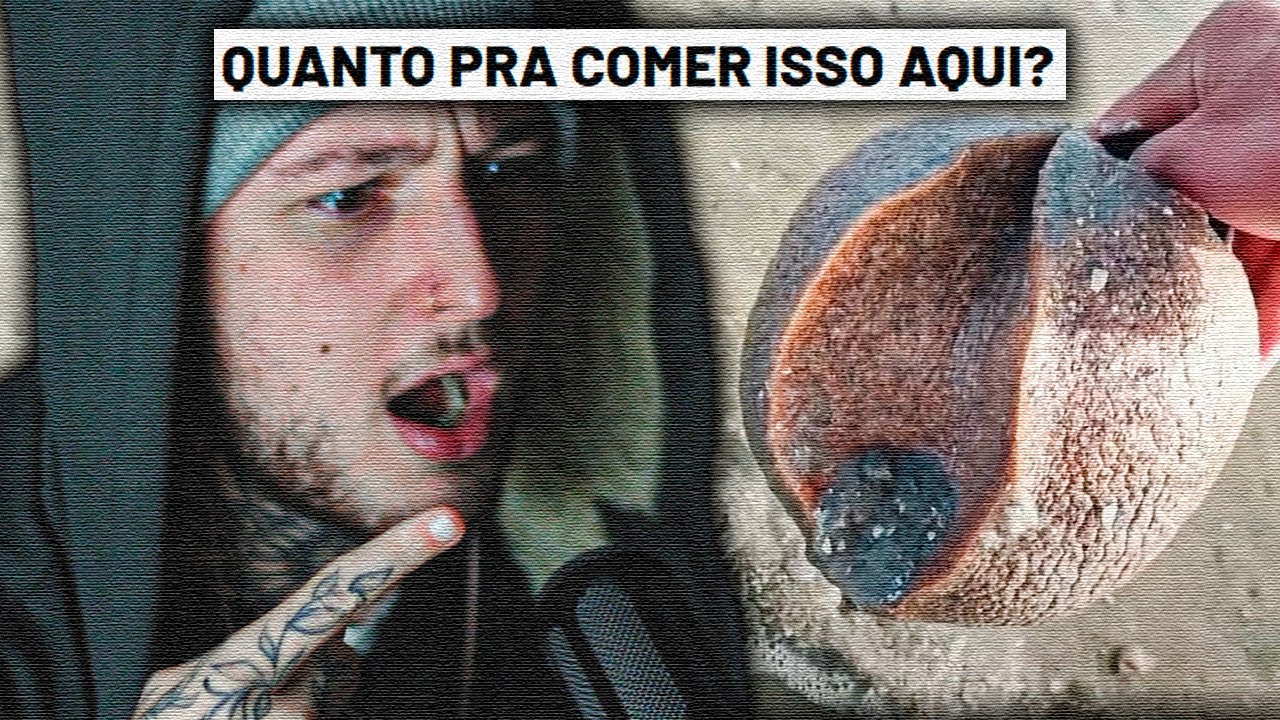 vendo dose diária de internet com meus amigões (ft. @Ycro @Tibba041 )