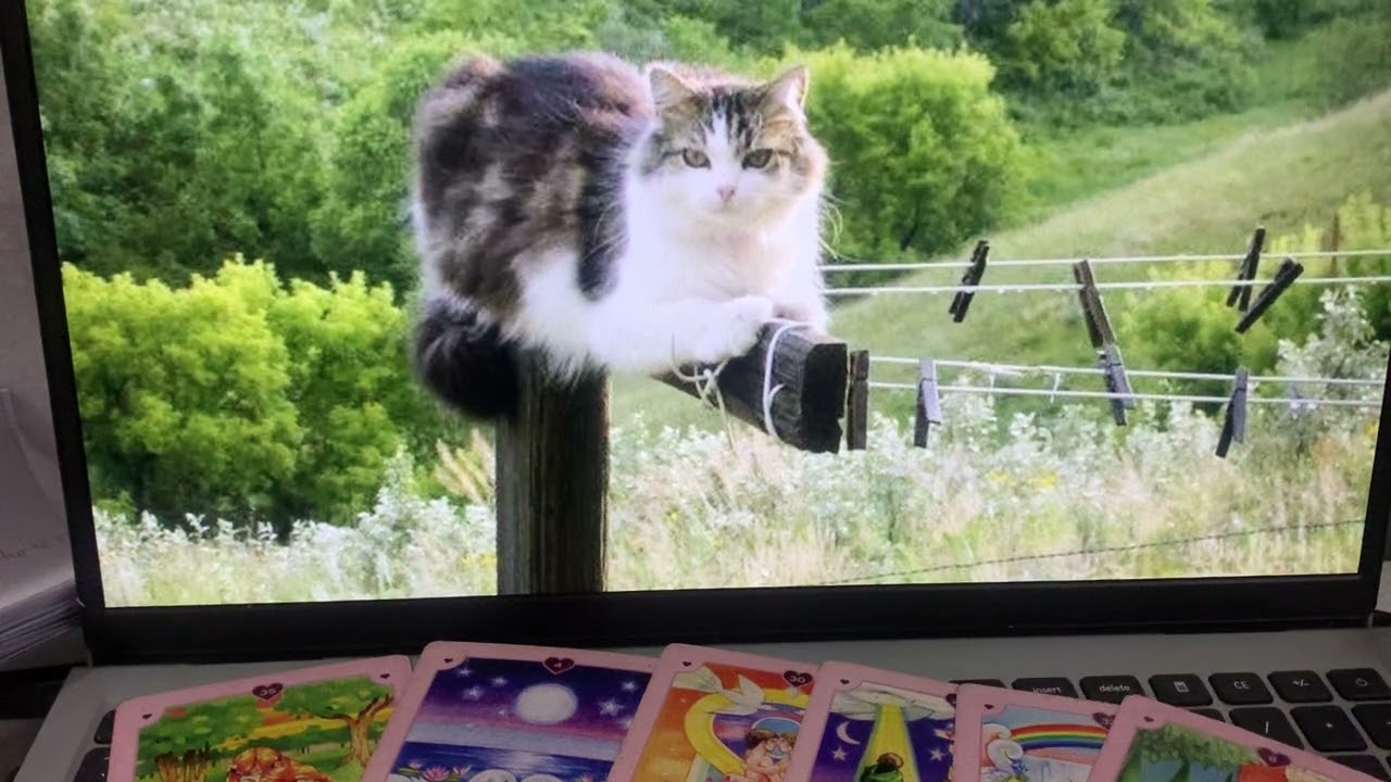 Những Thông Điệp Tình Cảm Tiên Tri Dài Hạn Cho Bạn!