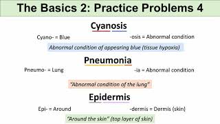 Medical Terminology – The Basics – Lesson 1 | Practice Problems Set 2