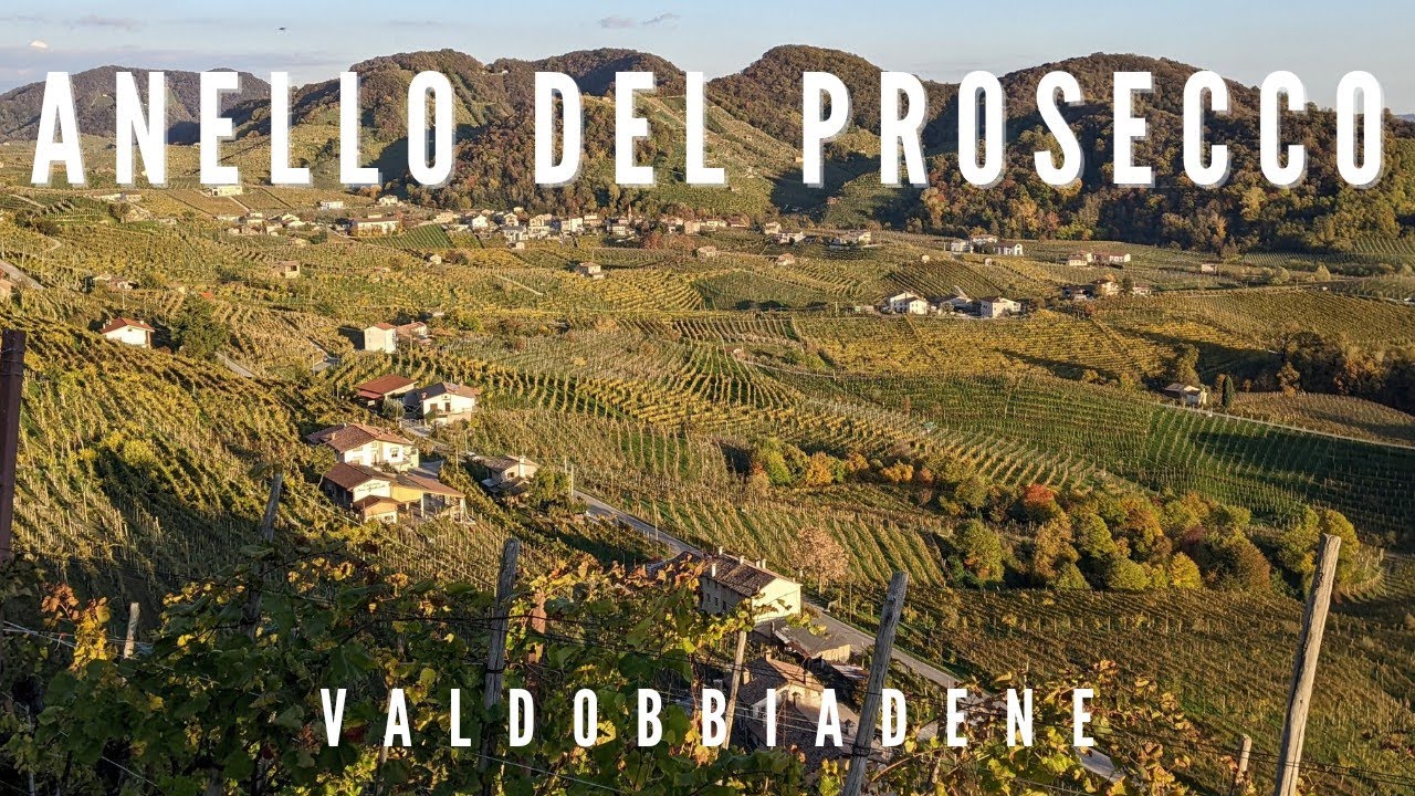 Anello del Prosecco - VALDOBBIADENE (TV) 🍇🥂