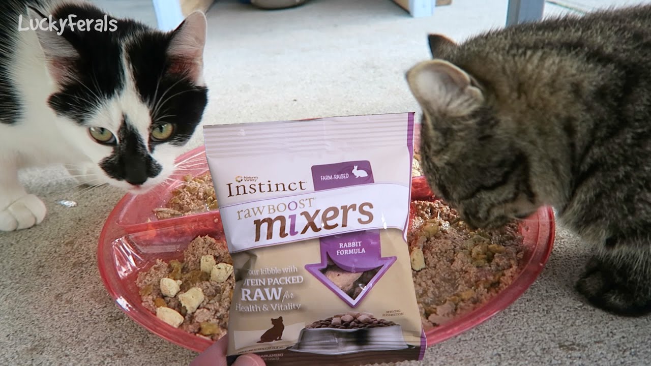 Cats React To Nature's Variety Instinct Raw Mixers Cat ...