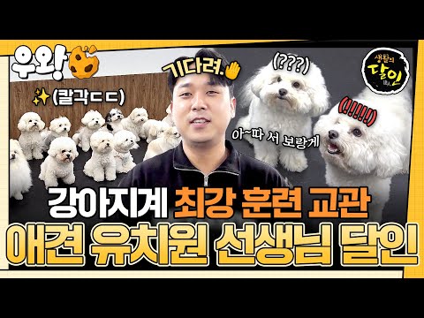 [🥐‍️#우왕] 각기 다른 성격을 가진 강아지들을 위한 달인의 교육법📖 칼 각 질서는 기본, 사투리만 알아듣는 강아지를 위한 맞춤 교육까지?✨ #생활의달인 #우와한비디오 #우와비