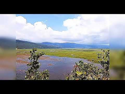 original muzik..( kaus owiton kud matai)..song by, Joe mabin.