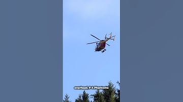 This Tree Almost Started a War