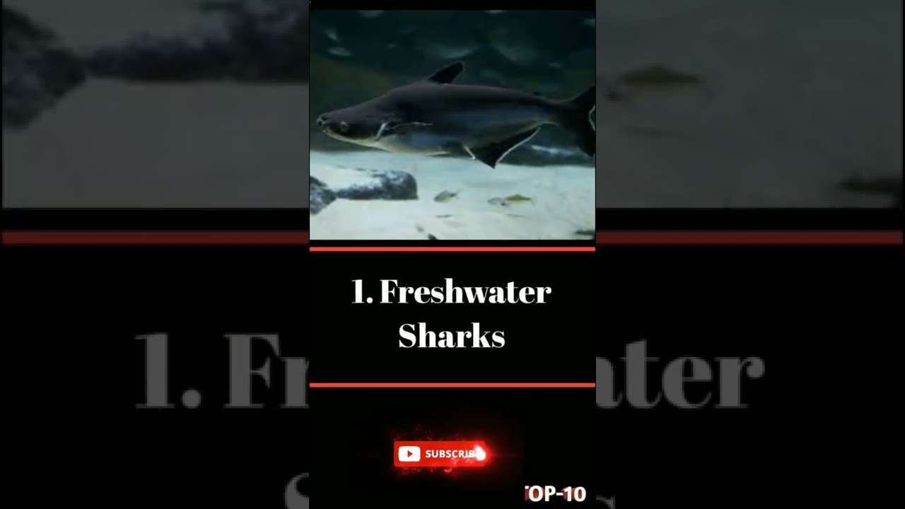 Top 10 worst community Fish