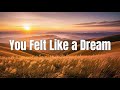 You Felt Like a Dream | Vid Horizon