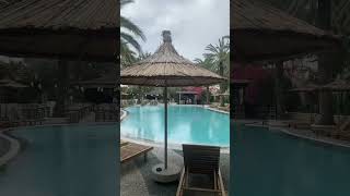 Angin Musim Panas Turki