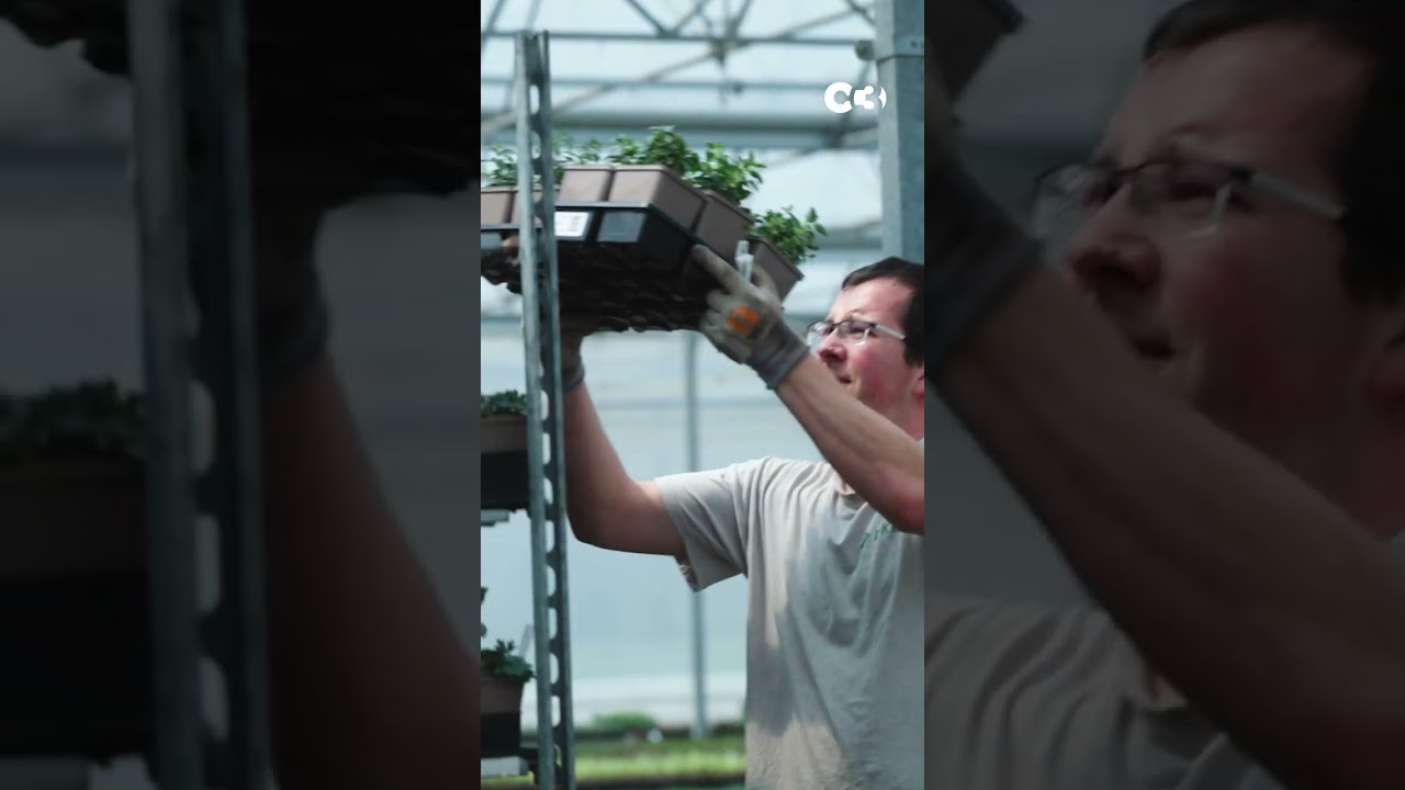 Brand Content - Nature & Jardin