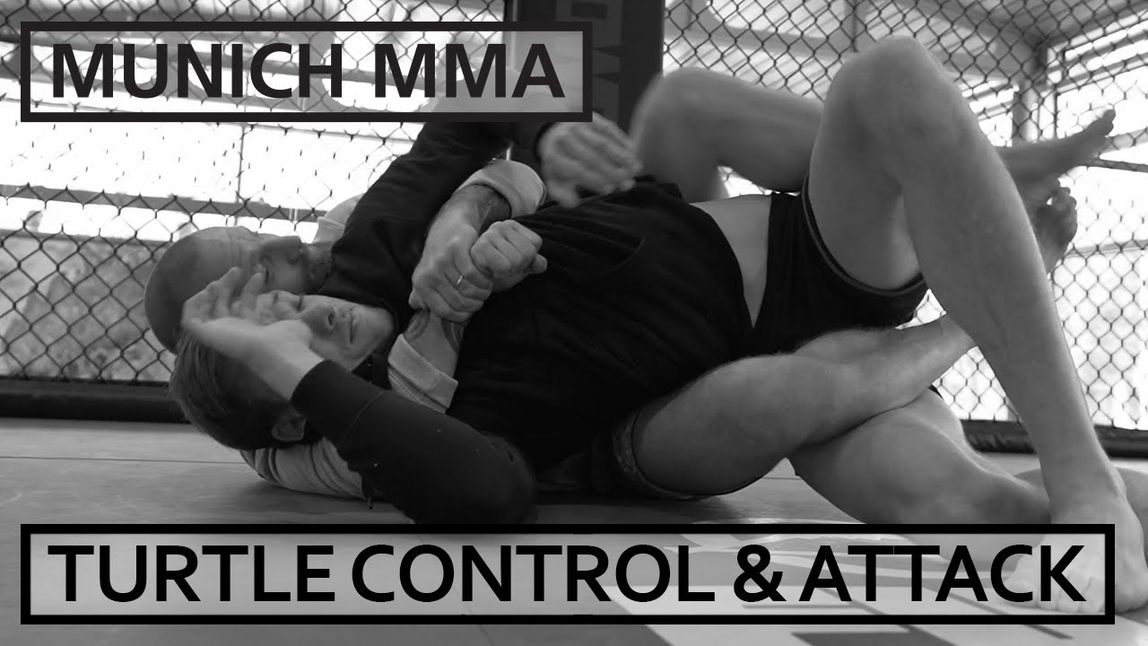 Turtle Position Kontrolle und Angriff der Turtle Position im BJJ und MMA - YouTube