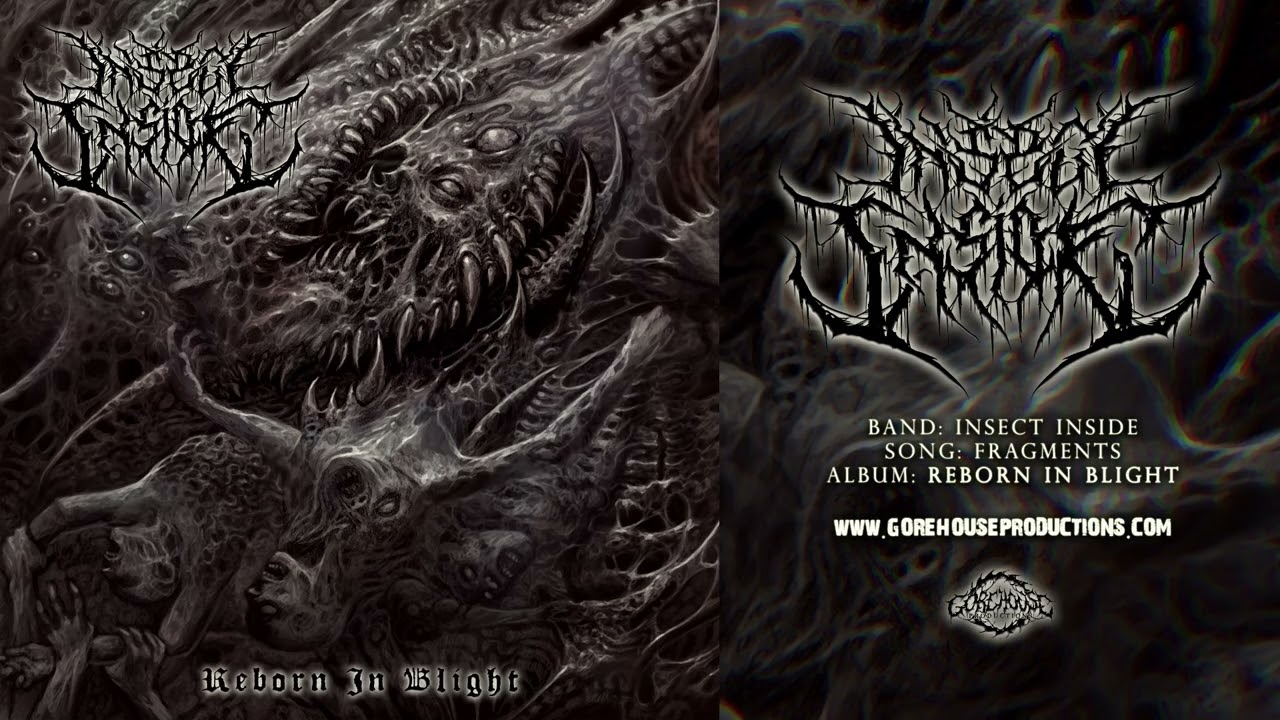 Insect Inside - Fragments | Official Track