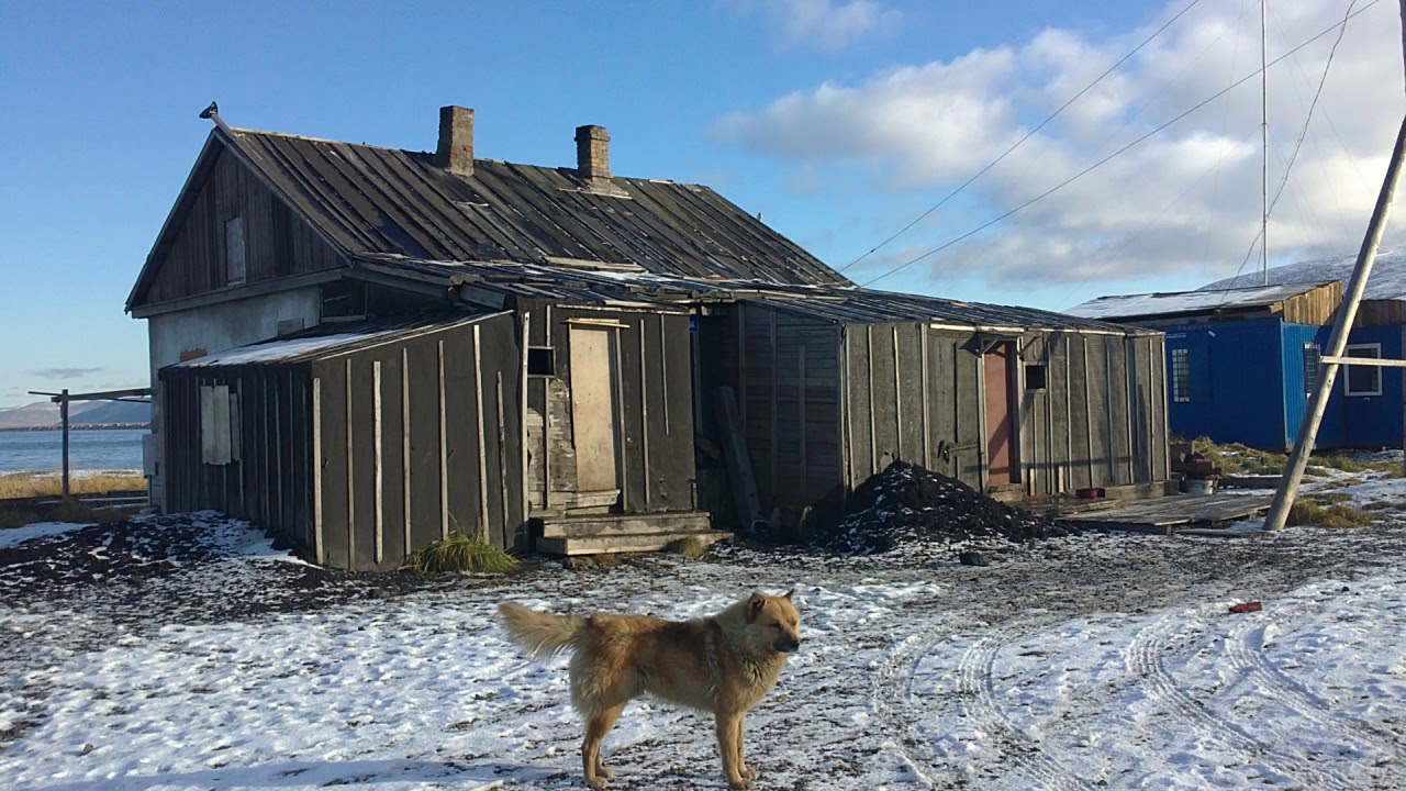 Энмелен Тенанто П А