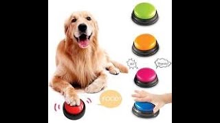 Recordable Talking Easy Carry Voice Recording Sound Button (DOG TRAINING)