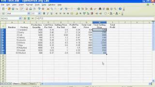Assessment Sample.avi