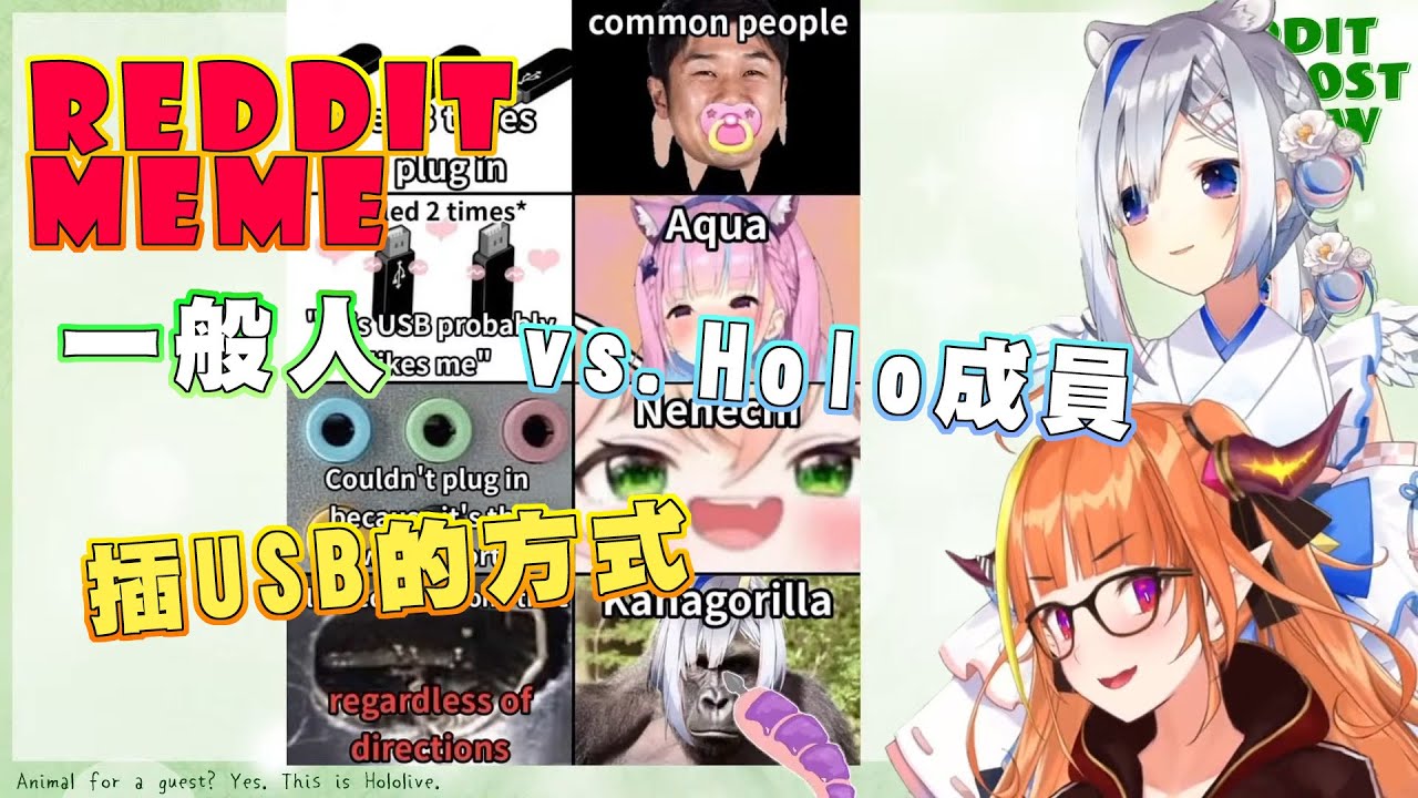 【迷因鑑賞】彼方猩猩插USB的方式