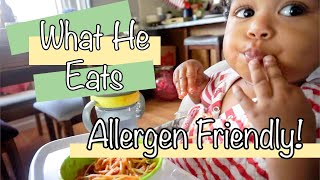 WHAT HE EATS IN A DAY| ALLERGEN FRIENDLY| EASY MEALS