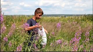 Перемышль 2019