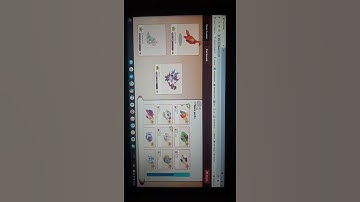 Buying a SMOLDASH in prodigy math game (not a member).