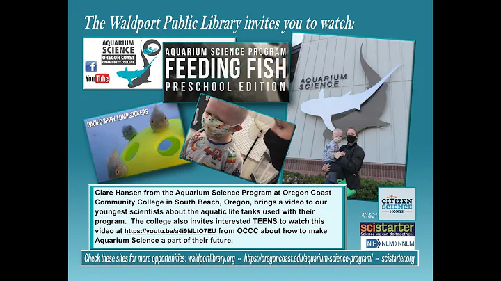 Aquarium Science Program - Feeding Fish Preschool ...
