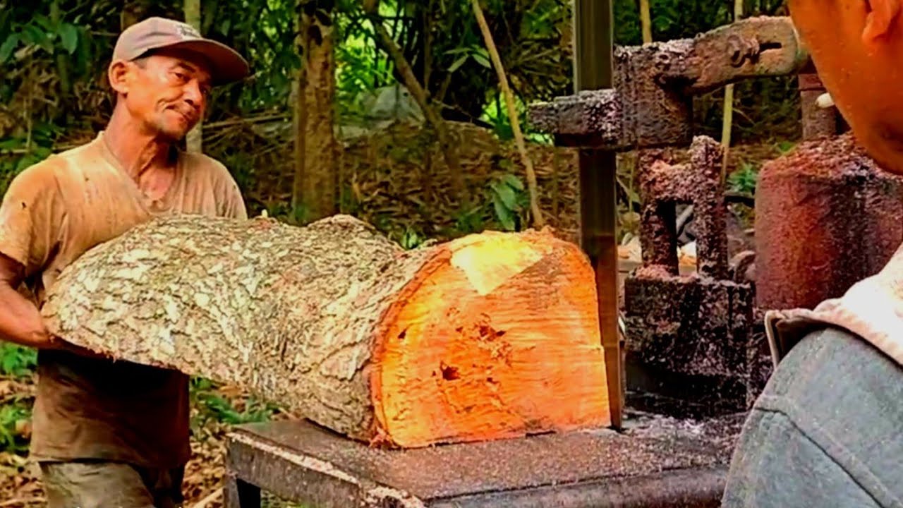 Special Skills in Chopping Mahogany Wood Using a Walking Assembled