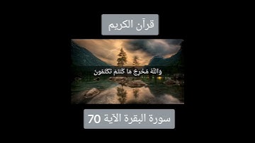 سورة البقرة الآية 70#قران_كريم #لايك_متابعه_اكسبلور #Tiktoklongs #Foryoupage #Viral