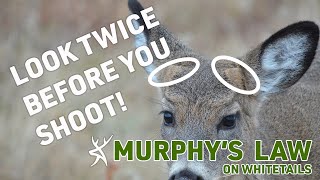 BUTTON BUCK Biology || Murphy's Law On Whitetails